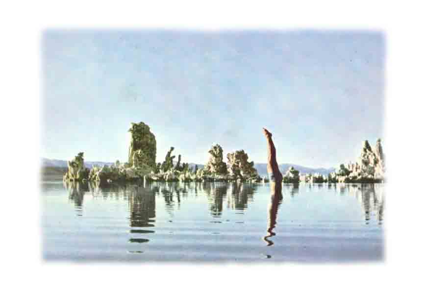 Postcard included in Pink Floyd's album: Whish You Were Here